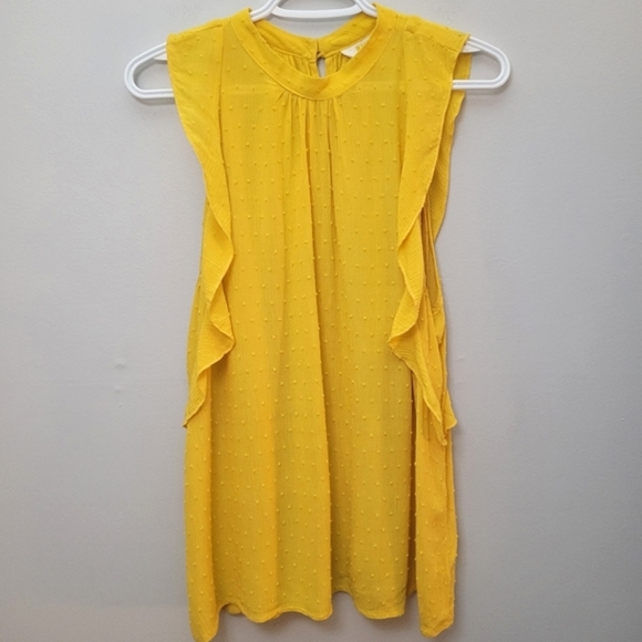 Anthropologie Maeve Lola Ruffle Swiss Dot Tank Top - Picture 4 of 9